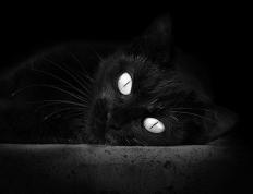 开云官网-独舞与狂澜，当哈登的存在感交响遇上尼克斯的集体狂澜