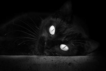 开云官网-独舞与狂澜，当哈登的存在感交响遇上尼克斯的集体狂澜