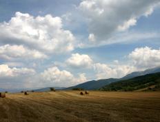 开云体育-绿茵场的双面诗篇，维尼修斯的锋芒与突尼斯的铁血