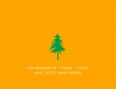 开云体育平台APP-青春风暴激荡休斯顿，塔图姆在浙篮阴影下的逆袭证明战