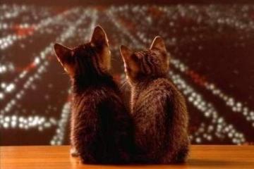 开云体育中国-杜兰特全能表现诠释无解进攻 马刺团队篮球令老鹰俯首称臣