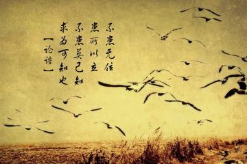 开云体育-单节狂飙定乾坤，黄蜂第三波攻势击溃新疆，马克西化身关键先生接管比赛