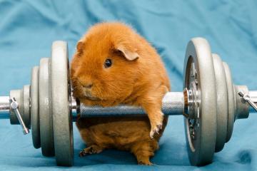 开云体育平台APP-逆境中的王者，多特蒙德翻盘与凯恩抢七接管启示录