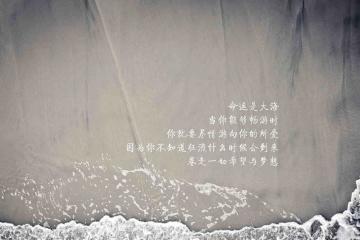 开云体育平台APP-猛龙崛起掀翻雷霆王朝余威，库里攻防两端诠释何为定海神针