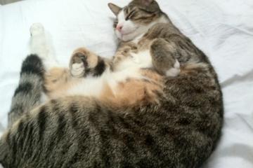 开云体育官网-李刚仁，绿茵棋盘上的绝对执棋者