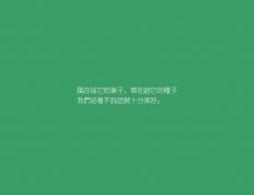 开云下载-福登加冕关键先生，爱尔兰风暴般卷走玻利维亚，艺术足球震撼足坛