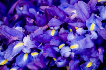 开云APP-2026世界杯璀璨夜，乔治的压制级主宰