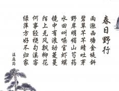 开云体育APP下载-西决生死战之夜，金玟哉数据全面爆炸，一夫当关铸就逆转奇迹