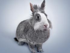 开云体育在线-英超争冠之夜，东契奇全场最佳无争议，现代体育的双城记与确定性之锚