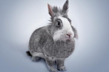 开云体育在线-英超争冠之夜，东契奇全场最佳无争议，现代体育的双城记与确定性之锚