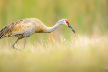 开云官网-奇才三剑客发威擒活塞，东部卡位战悬念再起！