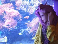 开云体育登录-瑞士军刀出鞘，布鲁诺教科书级演绎击溃丹麦