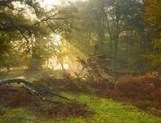 开云下载-萨拉赫领军利物浦告捷，巴黎提前终结悬念震撼西班牙足坛