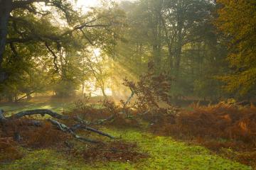 开云下载-萨拉赫领军利物浦告捷，巴黎提前终结悬念震撼西班牙足坛