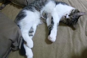 开云体育中国-孤城破晓！杜兰特末节狂飙率骑士险胜深圳，生死三分锁定胜局