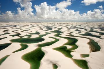 开云体育下载-单节风暴定乾坤！布鲁诺导演尼斯逆转巴黎