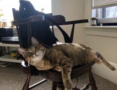 开云体育下载-无解之舞，托尼的街道王座之夜