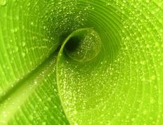 开云平台-生死对决，巴西力克阿根廷，卡瓦哈尔一战封神