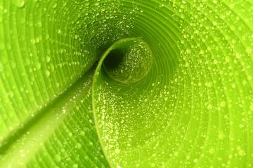 开云平台-生死对决，巴西力克阿根廷，卡瓦哈尔一战封神