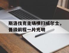 开云体育登录-关于斯洛伐克主场横扫威尔士，晋级前程一片光明的信息
