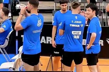 开云体育平台APP-葡萄牙队碾压德国队，樊振东扛起全队