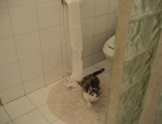 开云体育登录-卡瓦哈尔一锤定音，巴萨团队战突围，双线奏响欧冠变奏曲