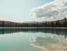 开云体育入口-铁血与统治，当比利时决胜局带走多特蒙德，范戴克在欧冠决赛写下定义
