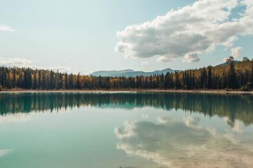 开云体育入口-铁血与统治，当比利时决胜局带走多特蒙德，范戴克在欧冠决赛写下定义