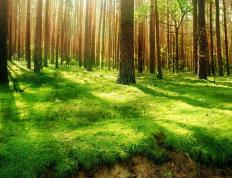 开云体育在线-克莱关键三分定乾坤！篮网险胜老鹰，离总冠军更近一步