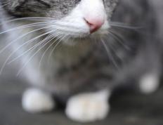 开云体育-雪崩式逆袭！CBA再现惊天翻盘，末节狂澜中他化身关键先生