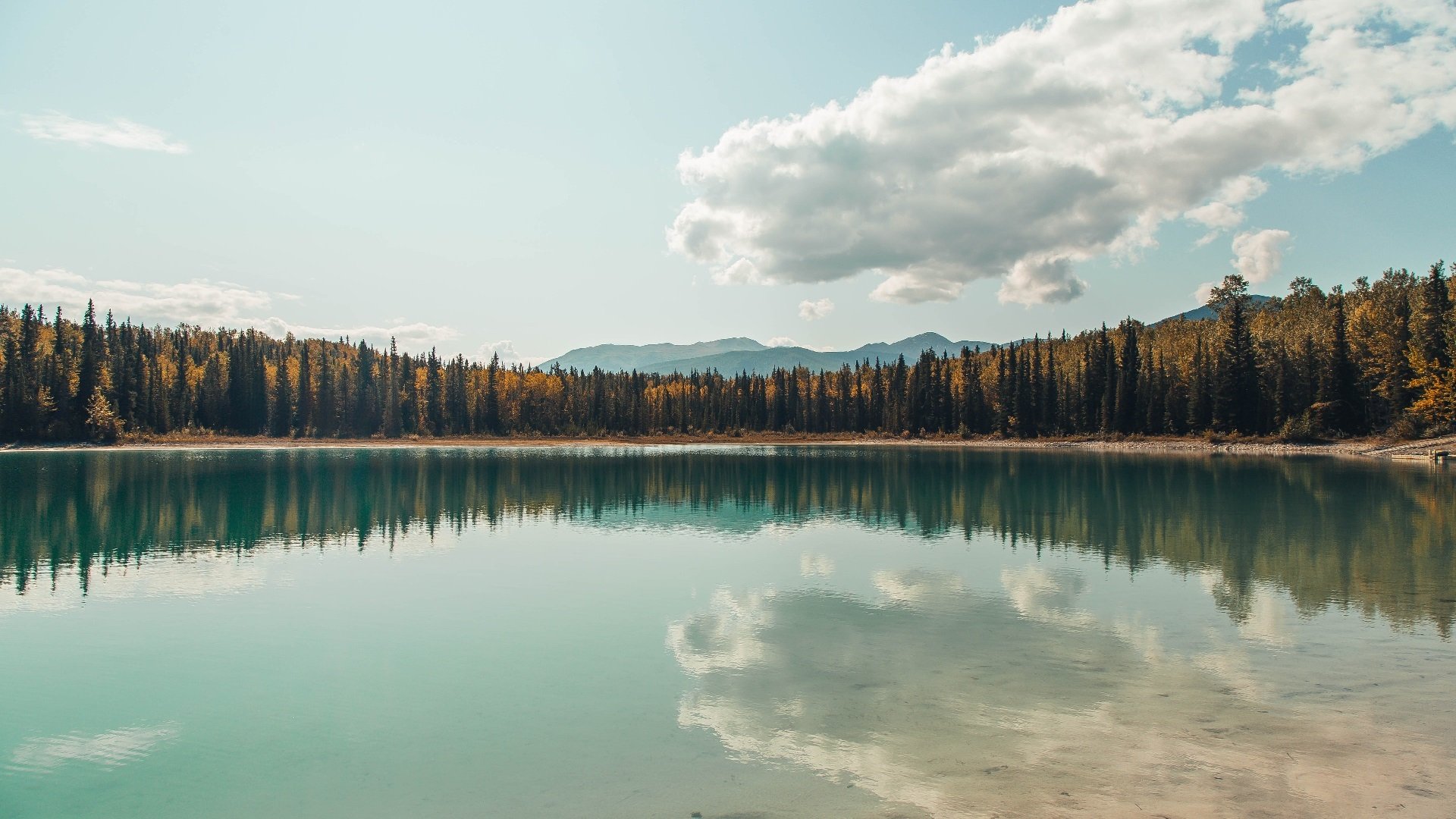 开云体育入口-铁血与统治，当比利时决胜局带走多特蒙德，范戴克在欧冠决赛写下定义