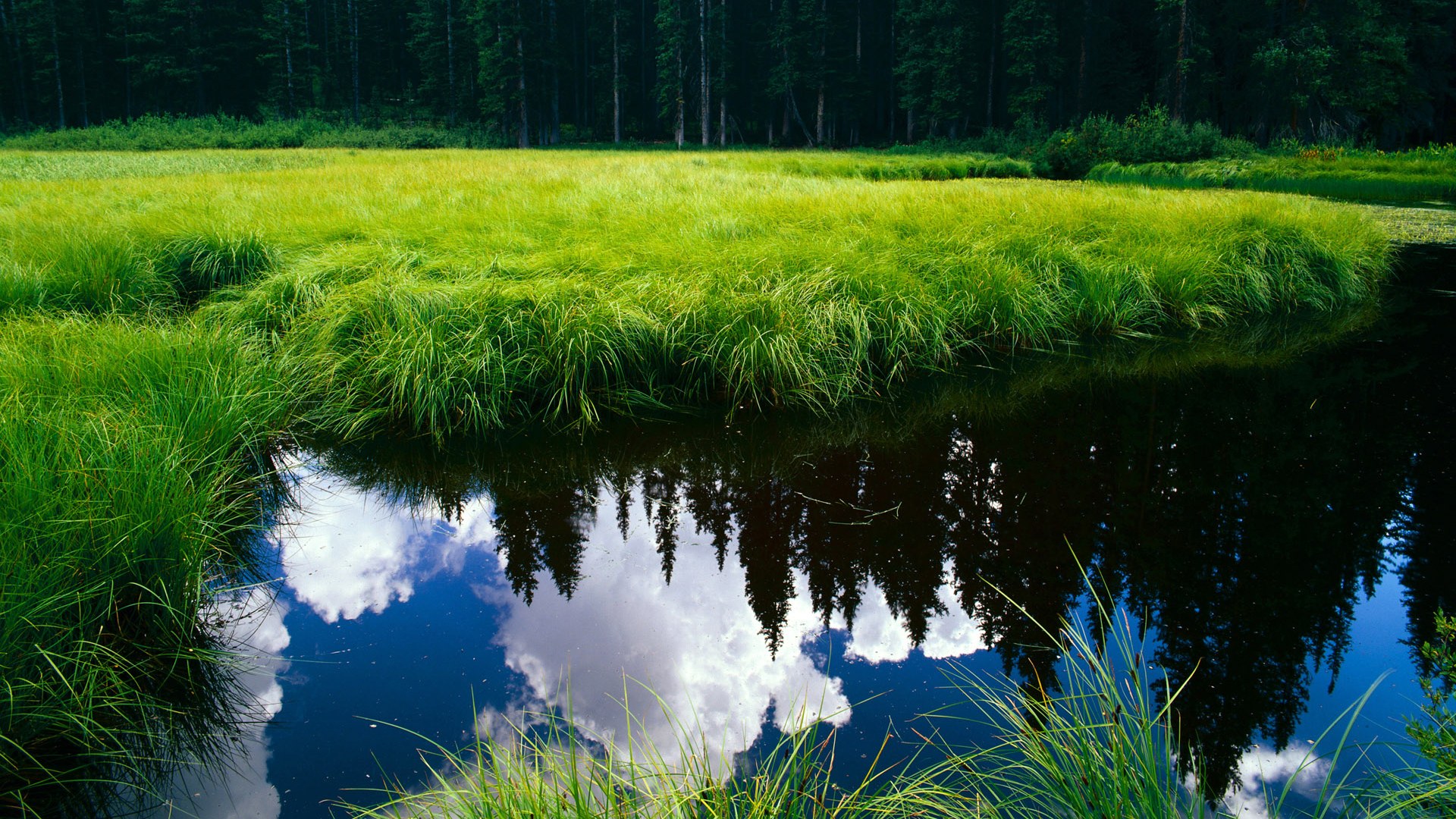 开云体育平台APP-克莱归来，公牛末节三记致命三分，篮网再成华丽篮球背景板