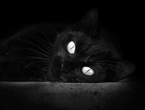 开云官网-独舞与狂澜，当哈登的存在感交响遇上尼克斯的集体狂澜