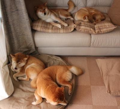 开云体育-绿茵场的双面诗篇,维尼修斯的锋芒与突尼斯的铁血