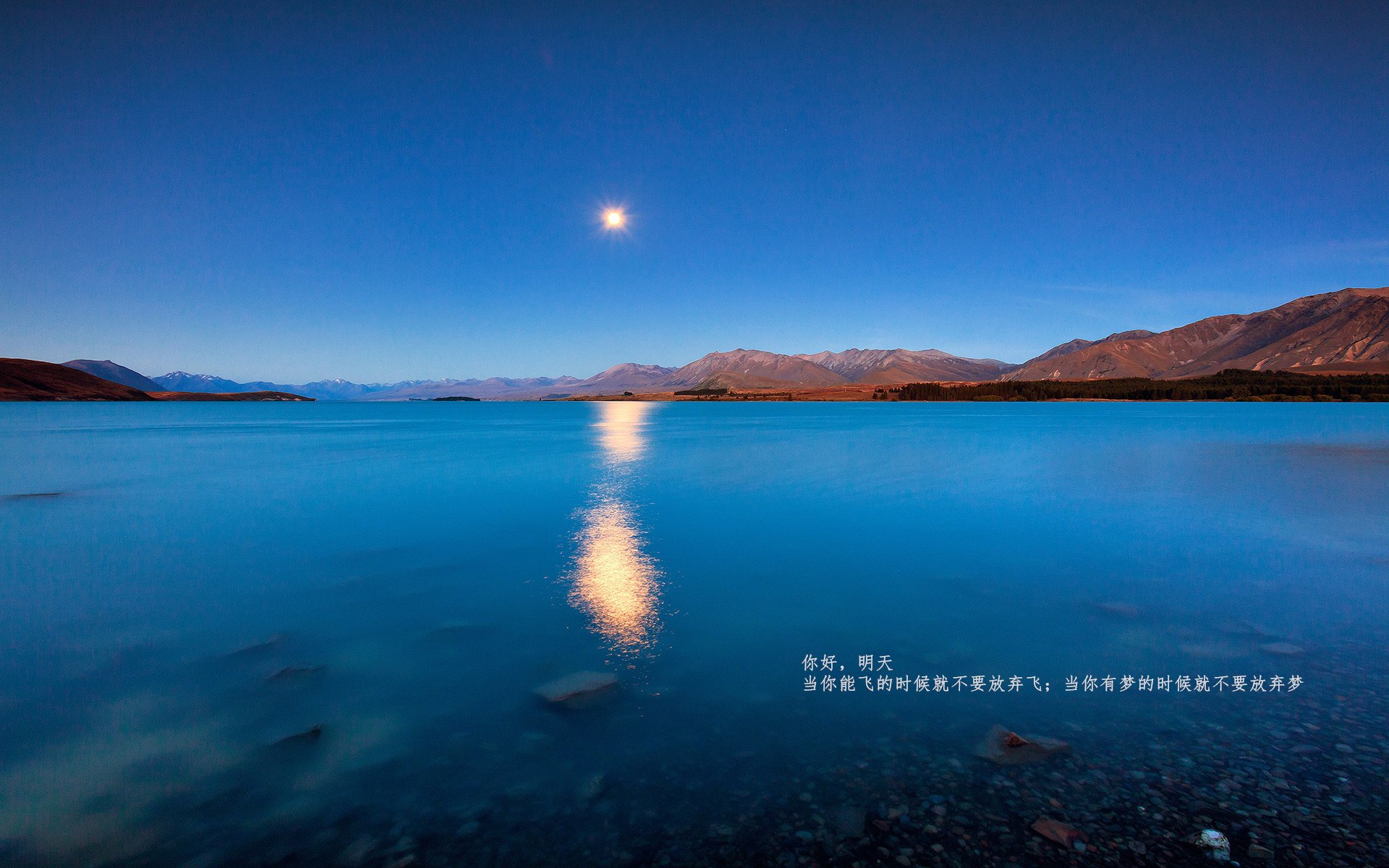 开云平台-帕尔默的王者时刻，波兰在美加墨世界杯中力克日本，新星接管比赛