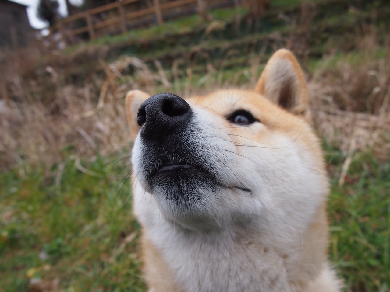 开云平台-鹰击奥兰多,凤凰焚天幕,当进攻成为唯一的解药