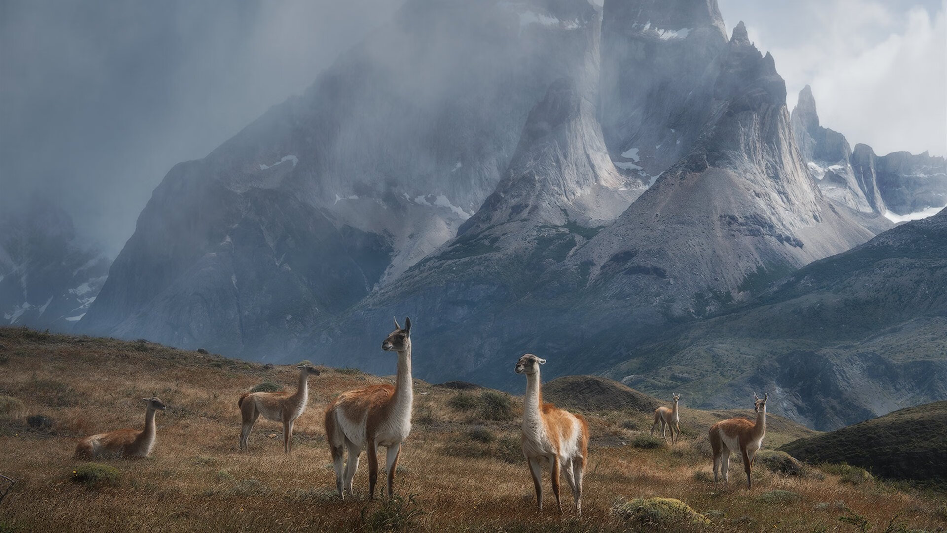 开云体育平台APP-王者归来，哈登的审判之夜踏碎所有质疑