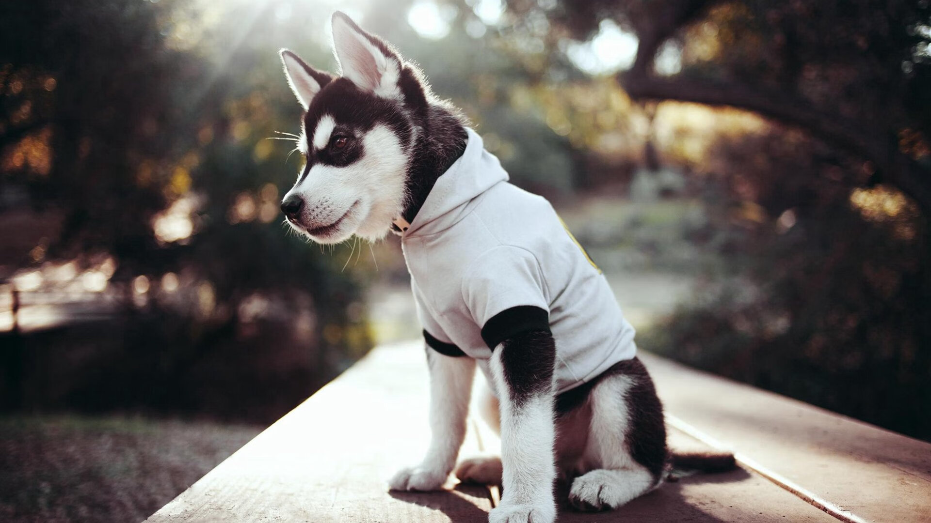 开云APP-提前终结悬念！阿拉巴一传一射助马里力克摩洛哥