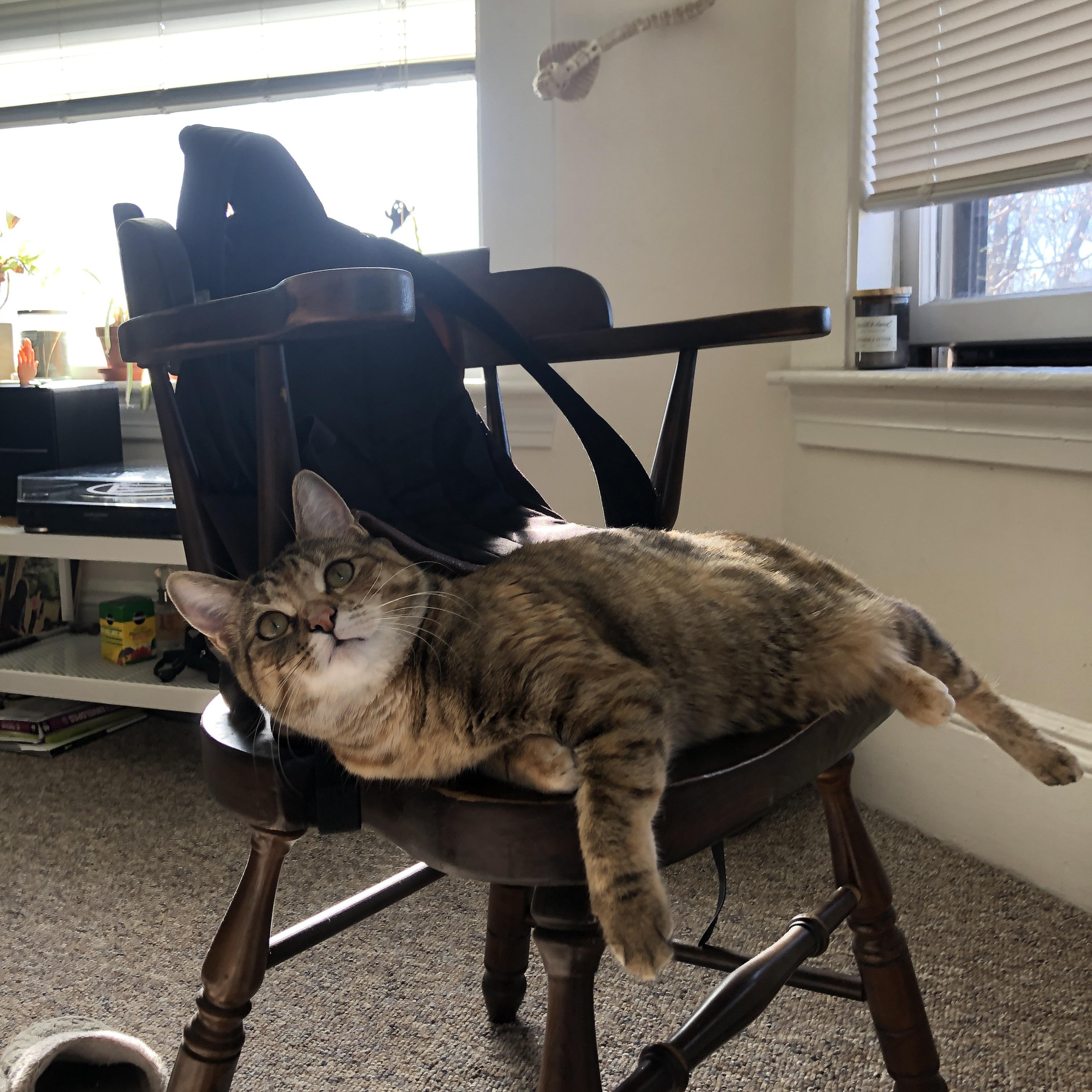 开云体育官网-足球场上的殖民与征服,西班牙收割洪都拉斯与阿克的欧冠决赛传奇